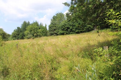 0 Ferguson Rd, Barnet, VT 05821 - photo 2