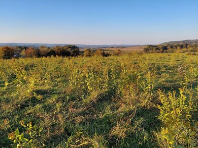48.5 Acres Owl Hole Gap Rd, Rutledge, TN 37861 - photo 2