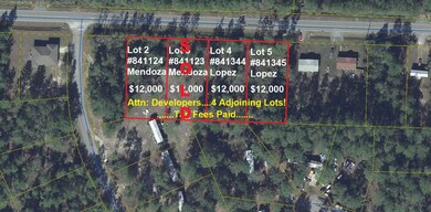 Lots 2-4 Adjoining Lots