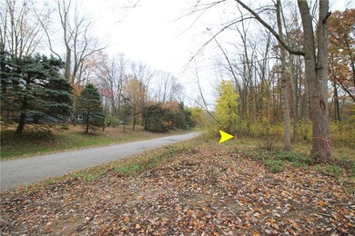 V/L Riley Rd, Aurora, OH 44202 - photo 5