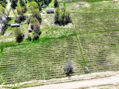 VL Benny Ct (Private) Lot#wp005 unit Lot 5, Grand Junction, MI 49056 - photo 3