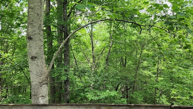 Lot 18 Sassafras Ridge Rd, Turtletown, TN 37391 - photo 4