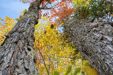 Off S Turtle Lake Rd unit S5, Winchester, WI 54557 - photo 6