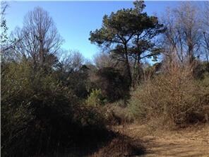 0 Otto Passman Rd, Franklinton, LA 70438 - photo 5