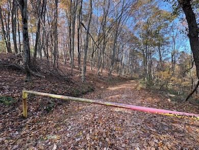 1080 Roxalia Turnpike Rd, Gap Mills, WV 24941 - photo 5