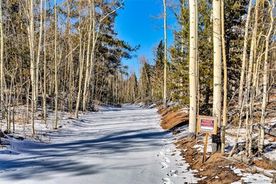 96 Dead Toad Rd, Fairplay, CO 80440 - photo 5