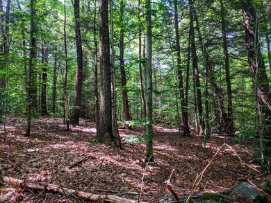 00 Cobble Hill Rd, Spofford, NH 03462 - photo 2