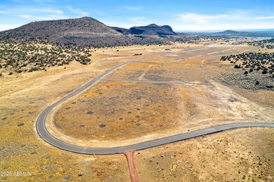 12910 Blazing Ore Trail, Flagstaff, AZ 86004 - photo 6