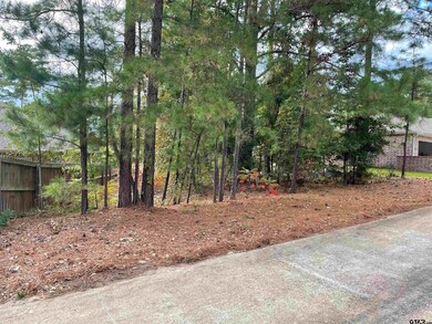 5716 Fern Cove Terrace, Tyler, TX 75703 - photo 4