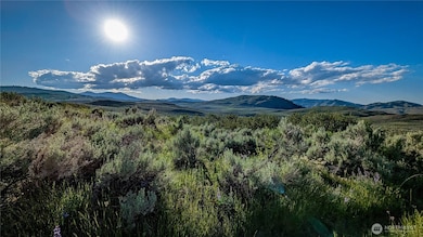 837 C Ellemeham Mountain Rd, Oroville, WA 98844 - photo 6