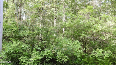 141 Mohegan Dr, Milford, PA 18337 - photo 4