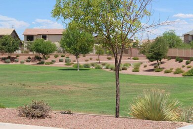 Sierra HOA Park areas