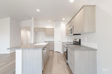 1080 Ellis River Ave, Middleton, ID 83644 - photo 5