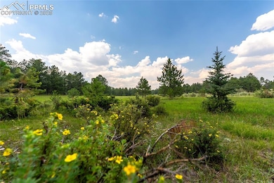 29507 N Highway 67, Woodland Park, CO 80863 - photo 4