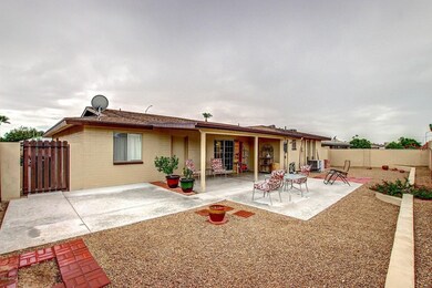 backyard2