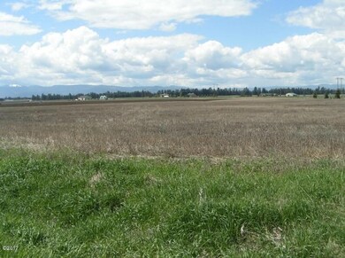 1100 Fairview Cemetery Rd, Columbia Falls, MT 59912 - photo 3