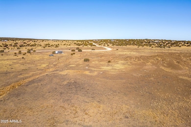 Show Low Pines Unit 5 Lot 320 -- unit 320, Concho, AZ 85924 - photo 5