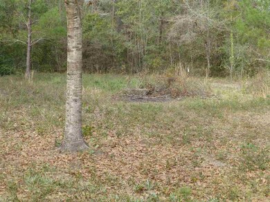 62 Greenleaf Ln, Crawfordville, FL 32327 - photo 6