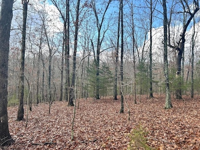 0 E Highway 14 Private Dr unit D, Ava, MO 65608 - photo 6