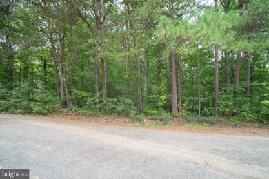 13 Merrimac Cove, Ruther Glen, VA 22546 - photo 6