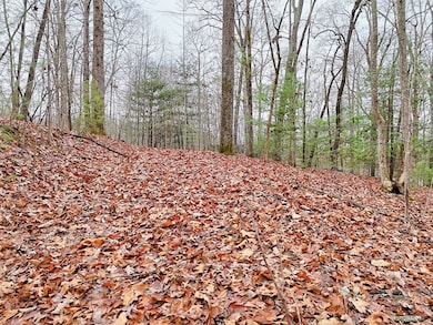 Tract 3 Wilmar Cir, Blairsville, GA 30512 - photo 7