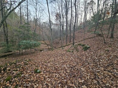 0 Garnet Dr unit 7684172, Ellijay, GA 30540 - photo 6