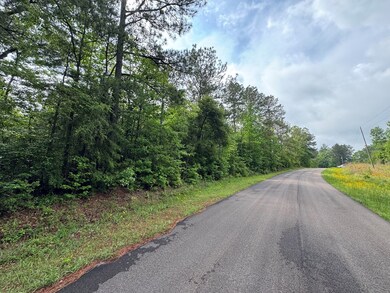 2048 Ashley Rd, Hazlehurst, MS 39083 - photo 6