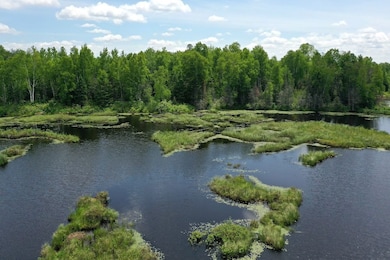 0 Tbd Pequaywan Lake Rd unit LotWP001, Duluth, MN 55803 - photo 5