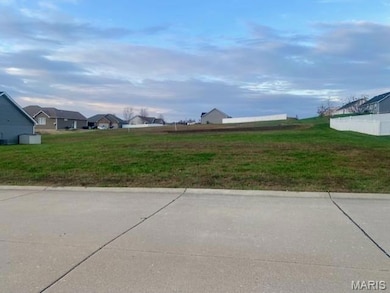 124 Vista Vallarta Dr, Union, MO 63084 - photo 3