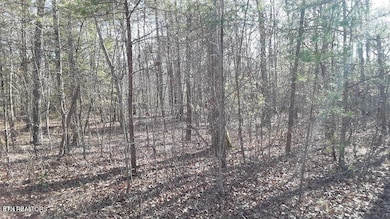 14 Clear Fork Dr, Jamestown, TN 38556 - photo 7