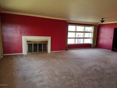 20180225_113330_resized