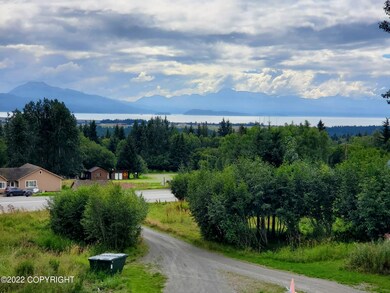 Kachemak Bay View