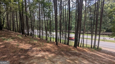 3779 Lawrenceville Suwanee, Suwanee, GA 30024 - photo 5