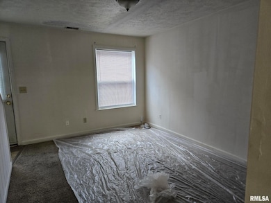 512 S Beveridge St unit 16, Carbondale, IL 62901 - photo 3