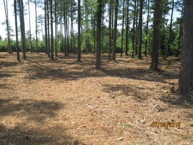 PULLIAM after mowing 001