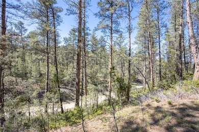 000 Smith Rd, Roundup, MT 59072 - photo 3