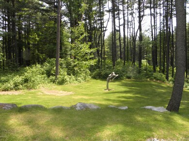 wooded lot