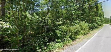 710 Behrens Rd, Penn Forest Township, PA 18229 - photo 2