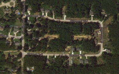 Image-58