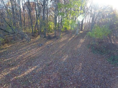 DJI_0010