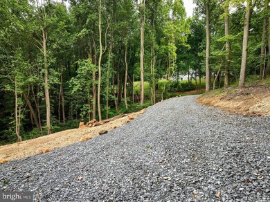 Off Restmore Ln, Stanley, VA 22851 - photo 6