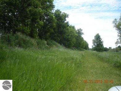 0 E Huron Rd unit 1763959, Omer, MI 48749 - photo 6