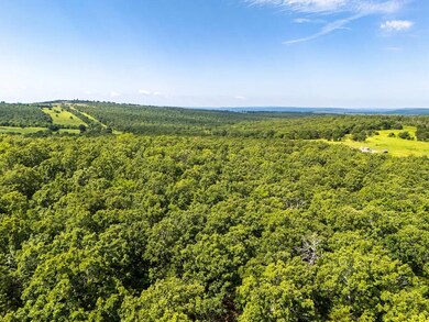 Highway 9, Enterprise, OK 74552 - photo 6