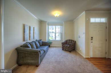 3016 Chinkapin Oak Ln unit 146, Woodbridge, VA 22191 - photo 6