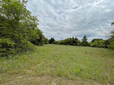 Property has some open areas for grazing and food 