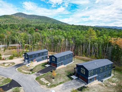 21 Hidden Glade Dr, Bartlett, NH 03845 - photo 3