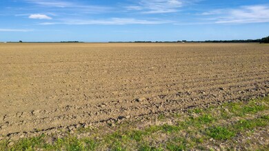 10647 Farm To Market Road 530, Edna, TX 77957 - photo 4