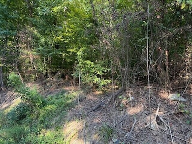 13 Mullins Cove Rd, Powells Crsrd, TN 37397 - photo 5