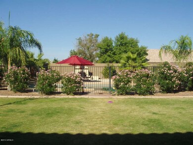 OVERSIZED BACKYARD