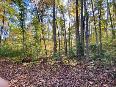 100 Iris Ln, Louisa, VA 23093 - photo 2